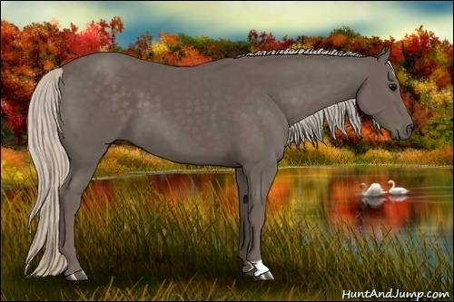 Horse Color:Silver Black