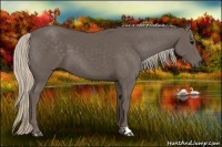Horse Color:Silver Black 