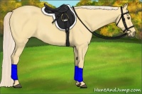 Horse Color:Palomino Dun 