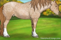 Horse Color:Red Ice Roan Pearl