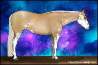 Horse Color:Silver Black Pearl Sabino Rabicano 