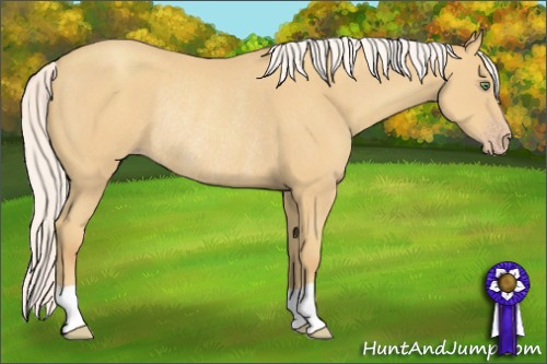 Horse Color:Silver Sable Cream Champagne Rabicano 