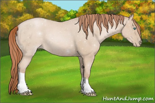 Horse Color:Smoky Black Pearl
