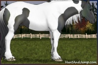 Horse Color:Black Tobiano 