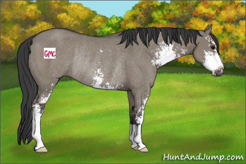 Horse Color:Smoky Grullo Sabino Rabicano 