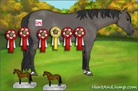 Horse Color:Grullo Rabicano 