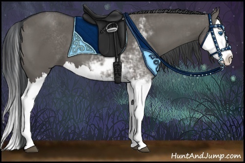 Horse Color:Grullo Sabino Splash