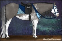 Horse Color:Grullo Sabino Splash 