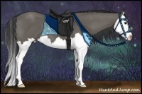 Horse Color:Grullo Sabino Splash