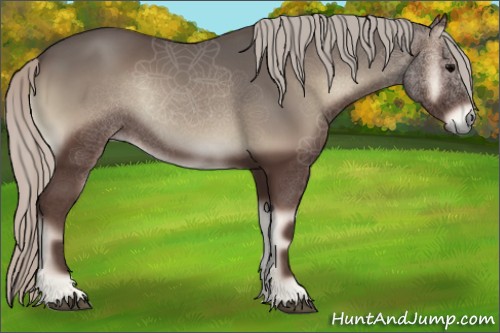 Horse Color:Silver Blue Onyx