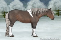 Horse Color:Silver Black Tobiano