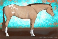 Horse Color:Amber Champagne Appaloosa Rabicano