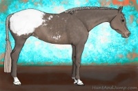 Horse Color:Silver Black Appaloosa 