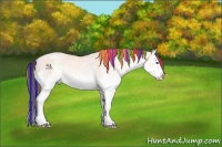 Horse Color:Painted White Spotted Amber Champagne Ice Dun Splash Rabicano
