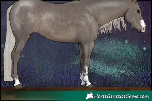 Horse Color:Silver Black 
