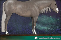 Horse Color:Silver Black 