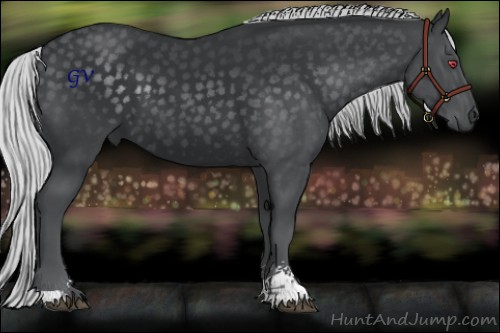 Horse Color:Silver Smoky Black Chinchilla Sabino 