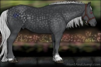 Horse Color:Silver Smoky Black Chinchilla Sabino 