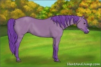 Horse Color:Watercolor Smoky Grullo 