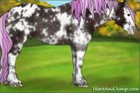 Horse Color:Painted White Spotted Silver Brown Ice Sabino Splash Appaloosa 
