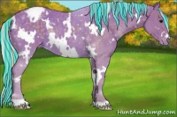 Horse Color:Painted Watercolor White Spotted Silver Black Appaloosa Rabicano 