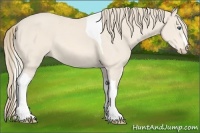 Horse Color:Perlino Tobiano