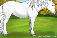 Horse Color:Liver Chestnut Chinchilla Ice Appaloosa 