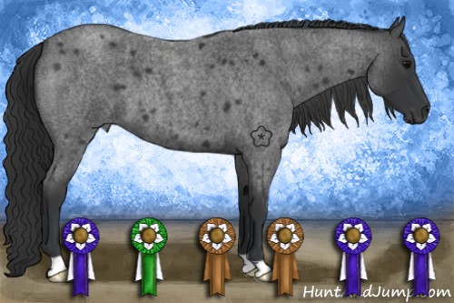 Horse Color:Blue Roan 