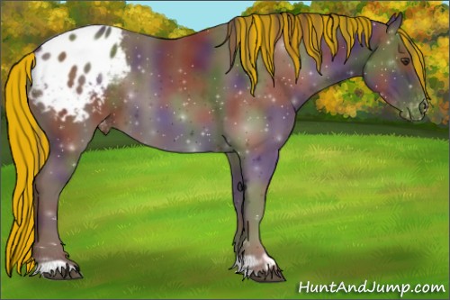 Horse Color:Painted Nacre Liver Chestnut Appaloosa 