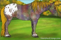 Horse Color:Painted Nacre Liver Chestnut Appaloosa