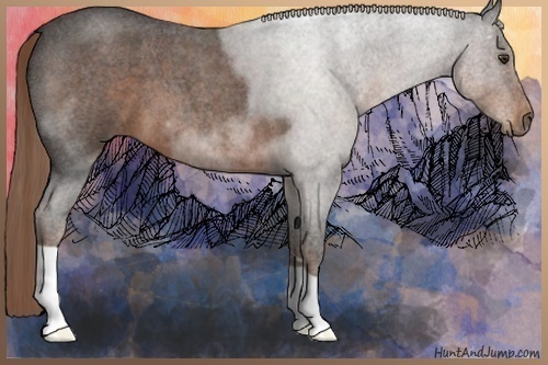 Horse Color:Liver Red Roan 