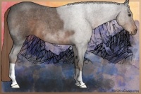 Horse Color:Liver Red Roan