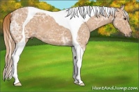 Horse Color:Red Ice Roan Tobiano 