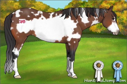 Horse Color:White Spotted Bay Frame 