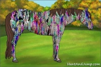Horse Color:Liver Chestnut Ice Appaloosa Rabicano