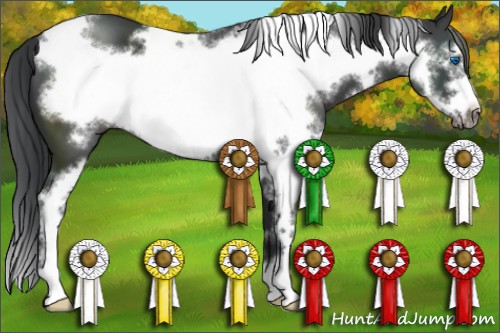 Horse Color:White Spotted Black Sabino Frame 