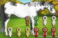 Horse Color:White Spotted Black Sabino Frame