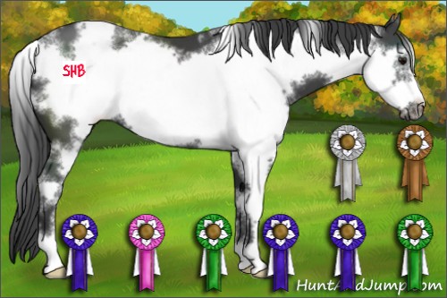 Horse Color:White Spotted Smoky Black Sabino Frame 
