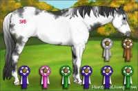 Horse Color:White Spotted Smoky Black Sabino Frame 