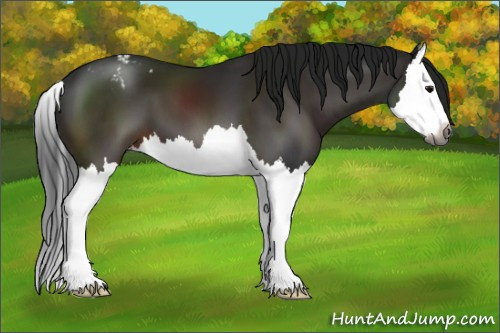 Horse Color:Gray Brown Splash Varnish 