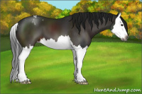 Horse Color:Gray Brown Splash Varnish 