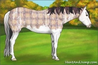 Horse Color:Plaid Bay Ice Splash