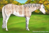 Horse Color:Plaid Silver Bay Ice Splash
