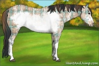 Horse Color:Plaid  Bay Ice Frame 