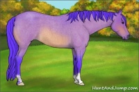 Horse Color:Watercolor Bay Roan 