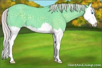 Horse Color:Watercolor Silver Blue Roan Splash 