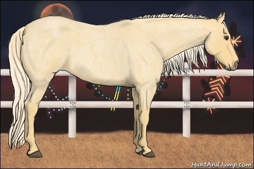 Horse Color:Palomino Roan 