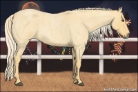 Horse Color:Palomino Roan 