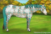 Horse Color:Plaid  Liver Chestnut Ice Appaloosa 