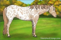Horse Color:White Spotted Chestnut Ice Blanket 
